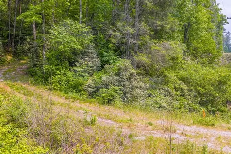 Tbd S Highway 107 Cashiers NC 28717