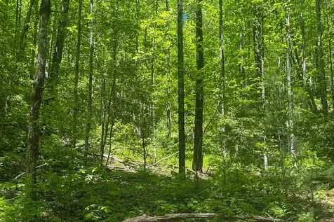 Tbd S Highway 107 Cashiers NC 28717