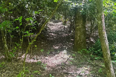 Tbd S Highway 107 Cashiers NC 28717