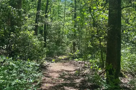 Tbd S Highway 107 Cashiers NC 28717