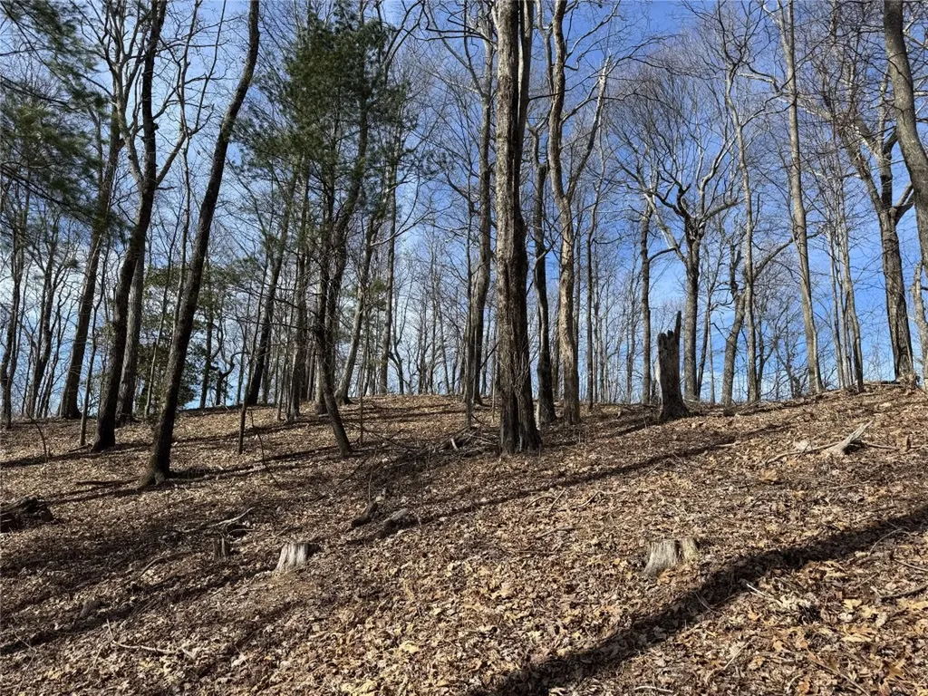 L4 Windy Gap Lane Sapphire NC 28774