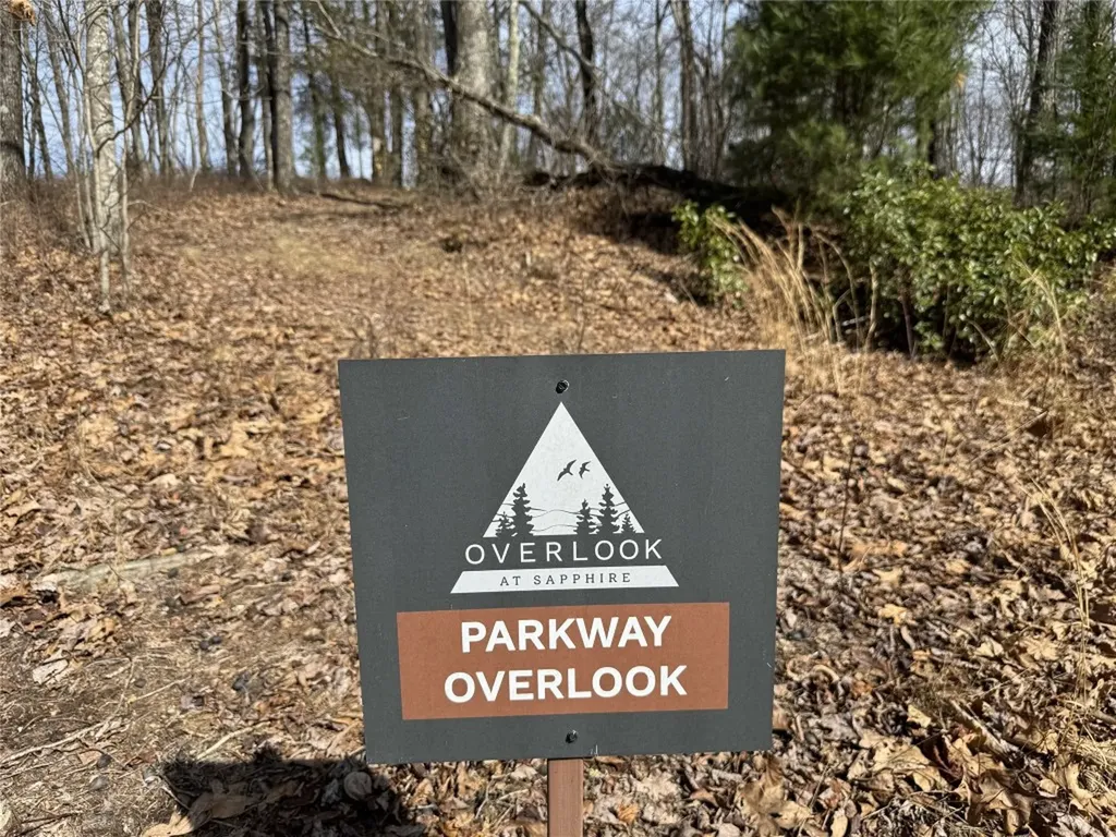 L4 Windy Gap Lane Sapphire NC 28774