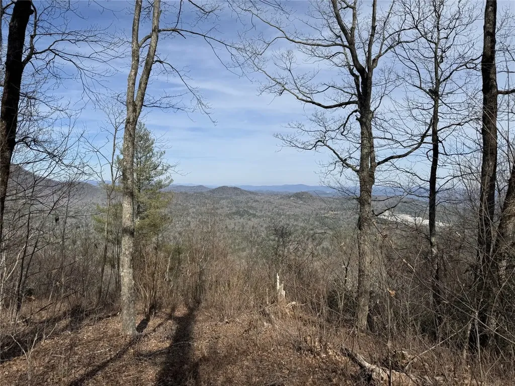 L4 Windy Gap Lane Sapphire NC 28774