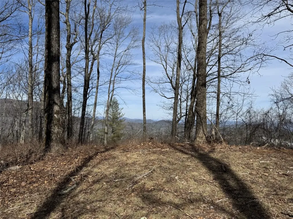 L4 Windy Gap Lane Sapphire NC 28774