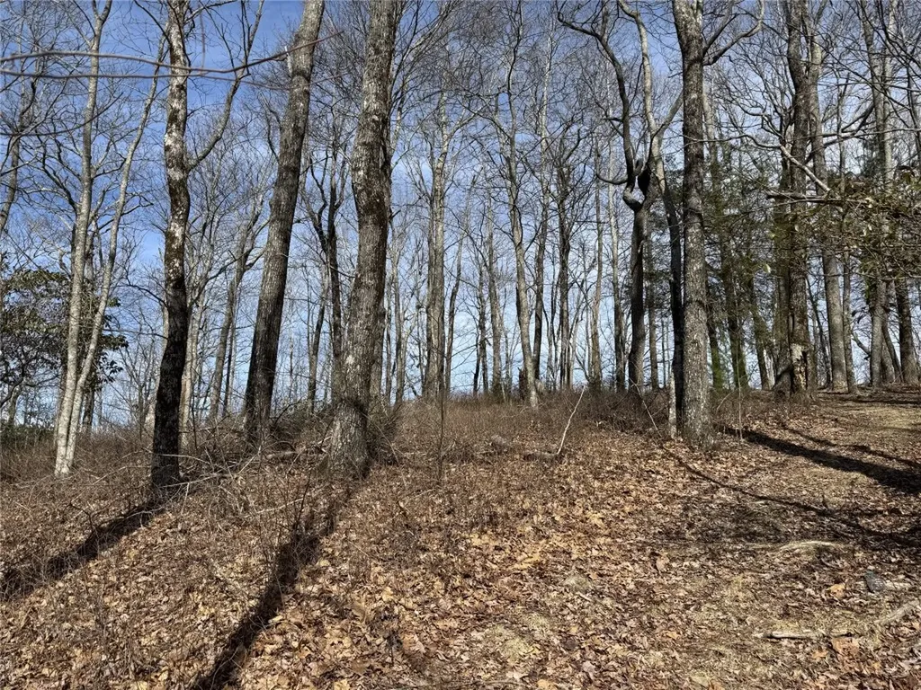 L4 Windy Gap Lane Sapphire NC 28774