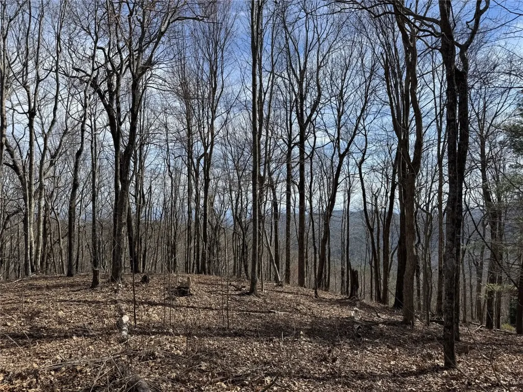 L4 Windy Gap Lane Sapphire NC 28774