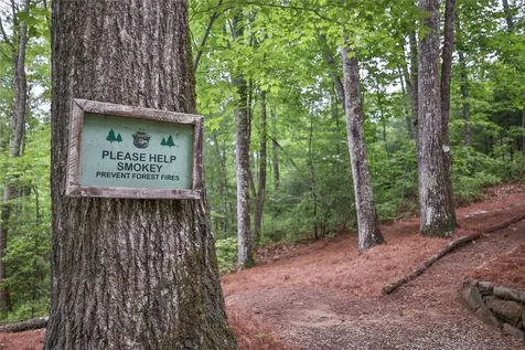 151 Rhododendron Court Sapphire NC 28774