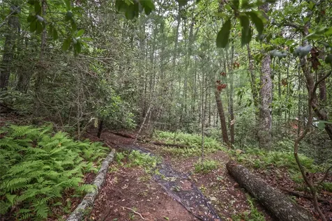 151 Rhododendron Court Sapphire NC 28774