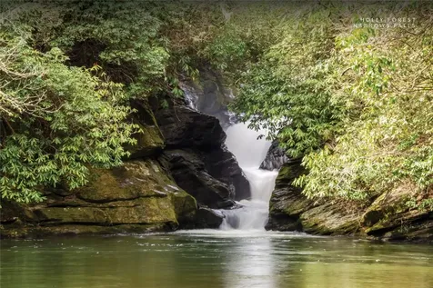 151 Rhododendron Court Sapphire NC 28774