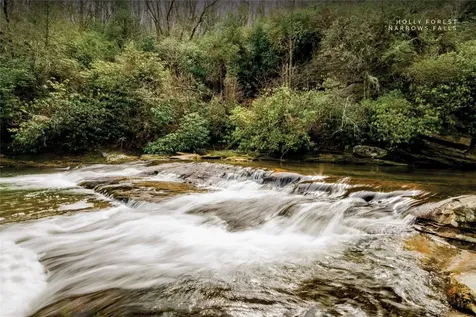 151 Rhododendron Court Sapphire NC 28774