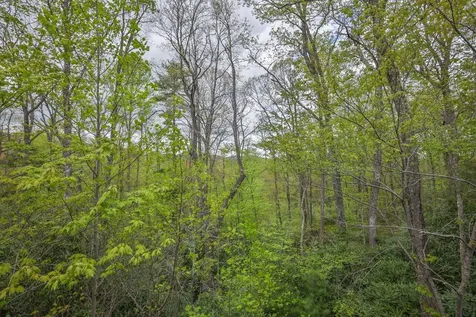 525 High Mountain Drive Cashiers NC 28717