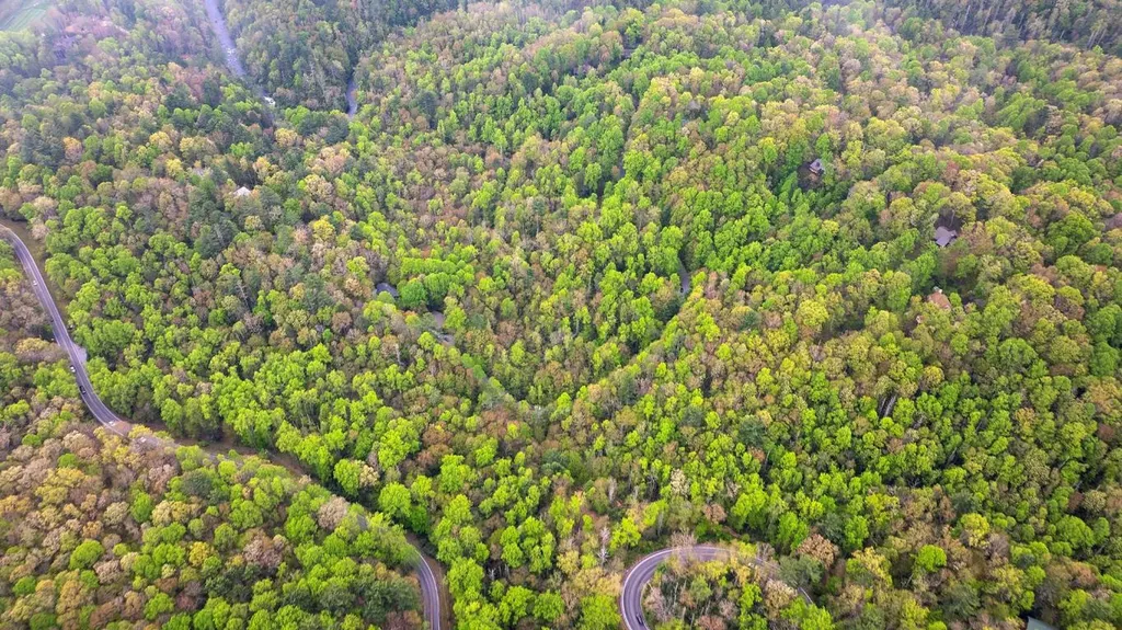 44 Holly Road Sapphire NC 28774