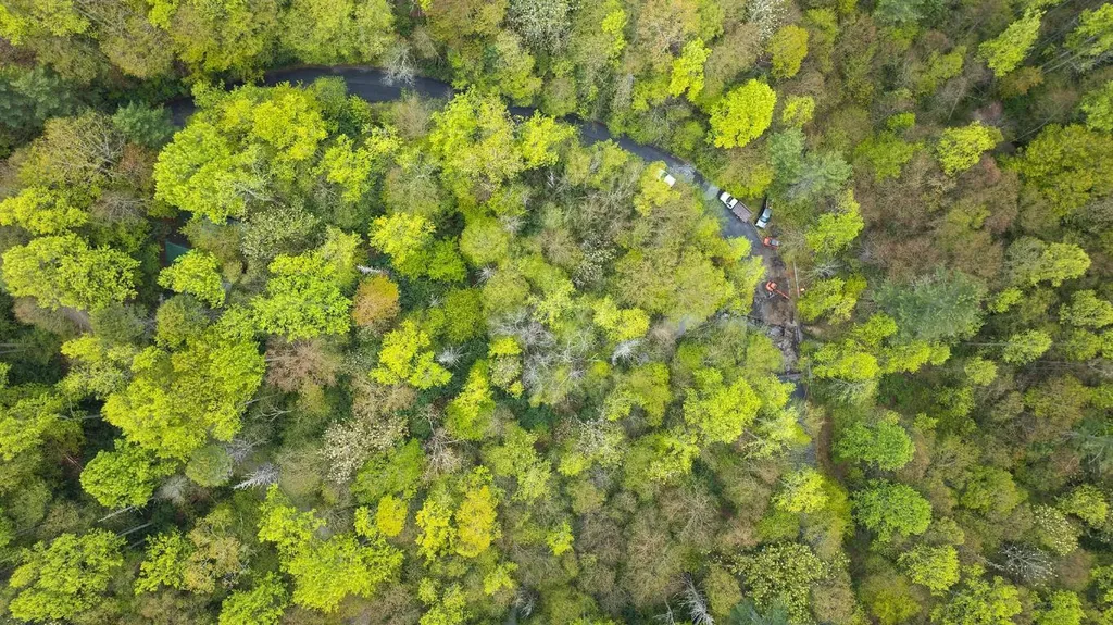 44 Holly Road Sapphire NC 28774