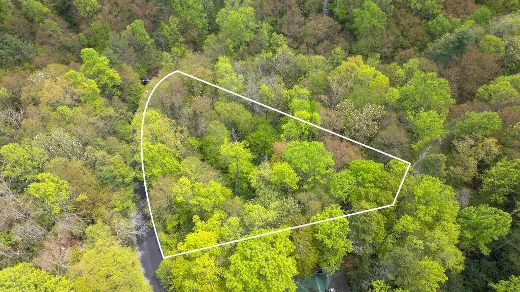 44 Holly Road Sapphire NC 28774