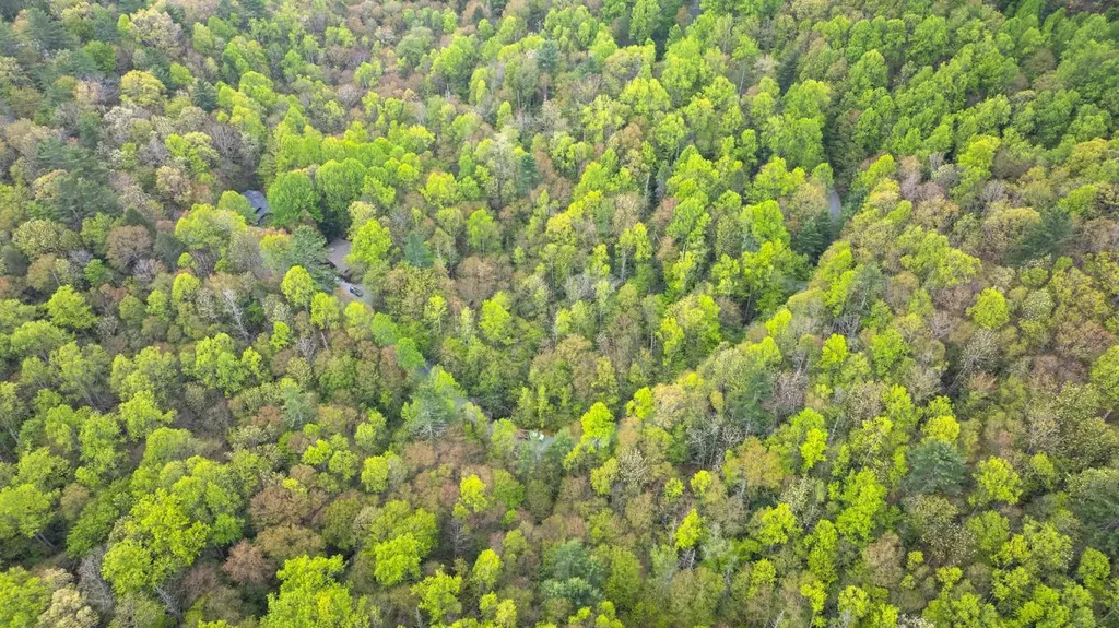 44 Holly Road Sapphire NC 28774