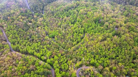 44 Holly Road Sapphire NC 28774