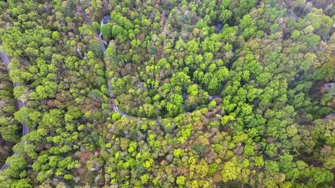 44 Holly Road Sapphire NC 28774