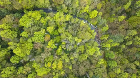 44 Holly Road Sapphire NC 28774