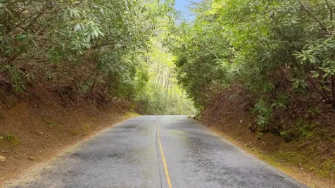 44 Holly Road Sapphire NC 28774