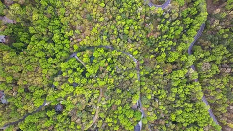 44 Holly Road Sapphire NC 28774