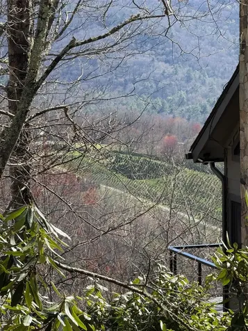 19 Cedar Creek Road Glenville NC 28736