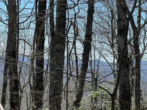 19 Cedar Creek Road Glenville NC 28736