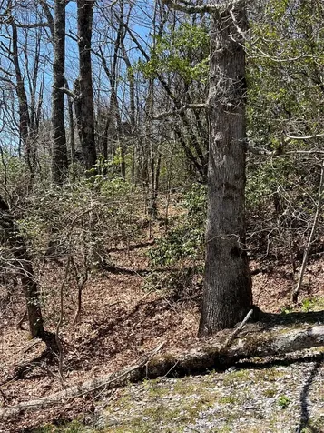 19 Cedar Creek Road Glenville NC 28736