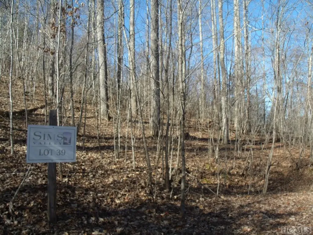 Lot 39 Sweetspring Trail Glenville NC 28736