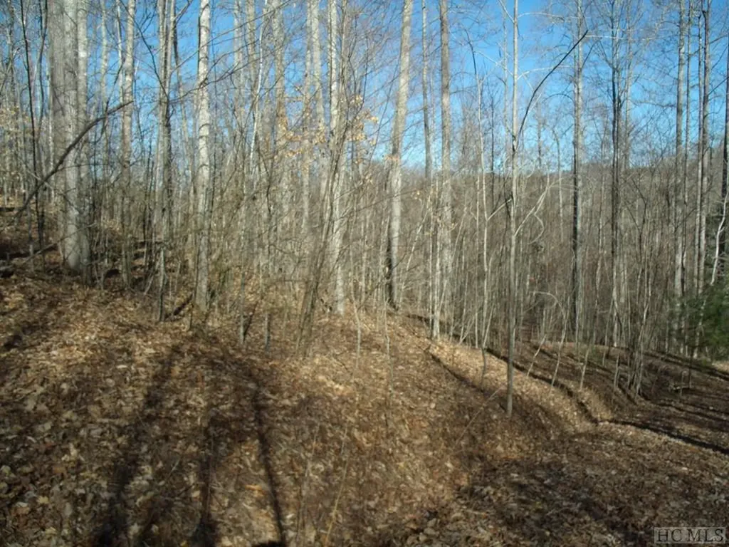 Lot 39 Sweetspring Trail Glenville NC 28736