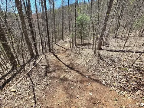 Lot 39 Sweetspring Trail Glenville NC 28736