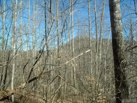 Lot 39 Sweetspring Trail Glenville NC 28736