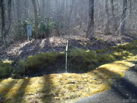 Lot 39 Sweetspring Trail Glenville NC 28736