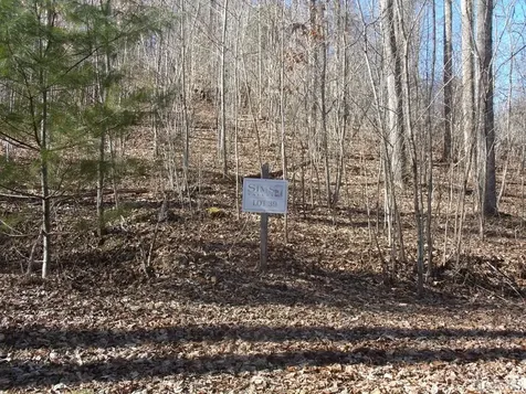 Lot 39 Sweetspring Trail Glenville NC 28736