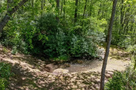 169 Heather View Lane Sapphire NC 28774