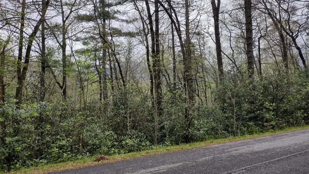 Tbd Whiteside Cove Road Cashiers NC 28717