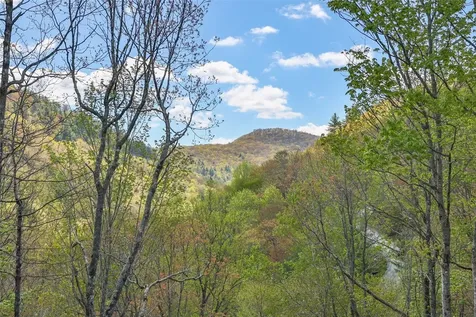 1066 Fowler Road Glenville NC 28736