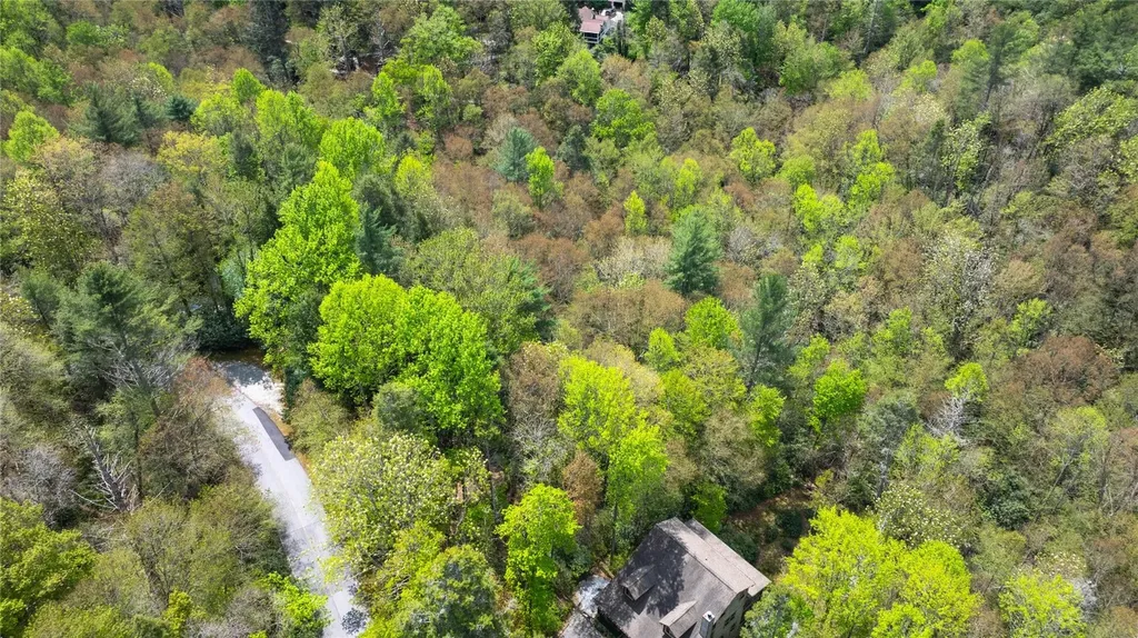 205 Hickory Drive Sapphire NC 28774