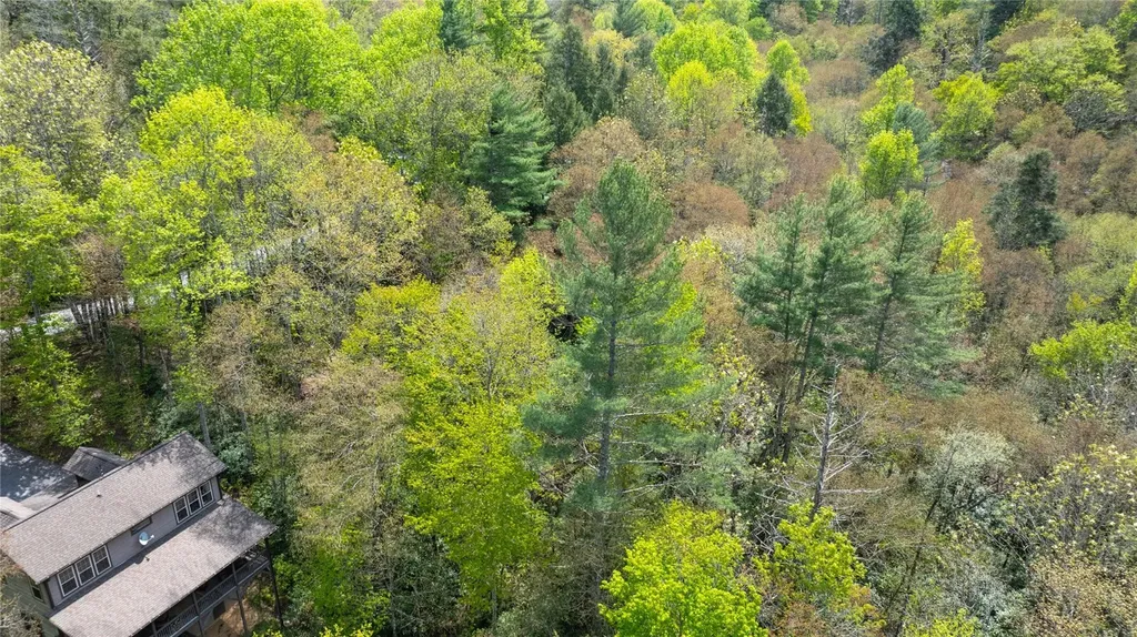 205 Hickory Drive Sapphire NC 28774