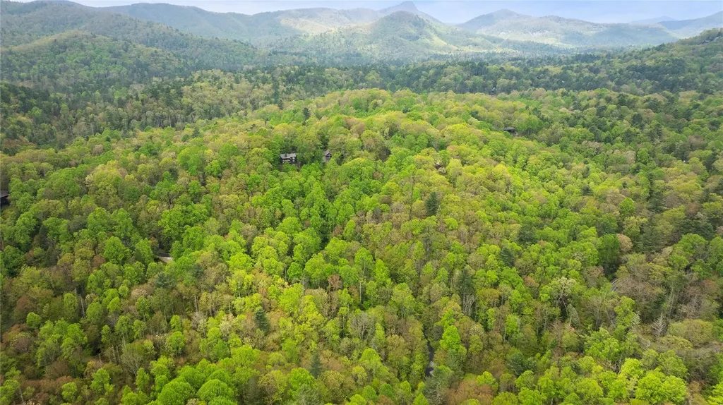 205 Hickory Drive Sapphire NC 28774