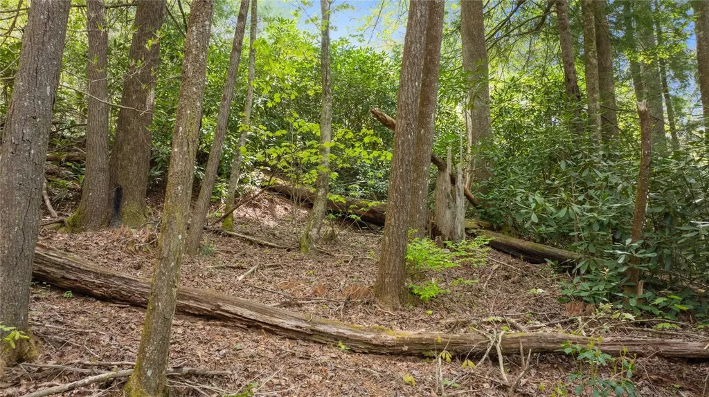 205 Hickory Drive Sapphire NC 28774