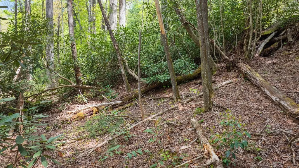 205 Hickory Drive Sapphire NC 28774