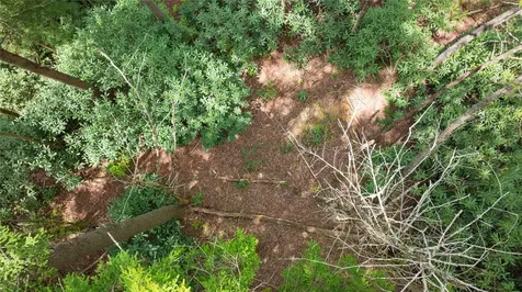 205 Hickory Drive Sapphire NC 28774