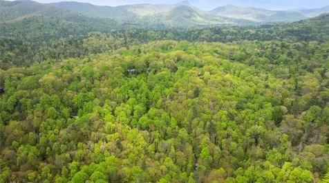 205 Hickory Drive Sapphire NC 28774