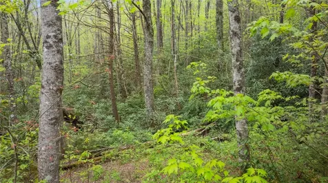 205 Hickory Drive Sapphire NC 28774