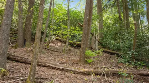 205 Hickory Drive Sapphire NC 28774