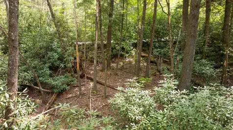 205 Hickory Drive Sapphire NC 28774