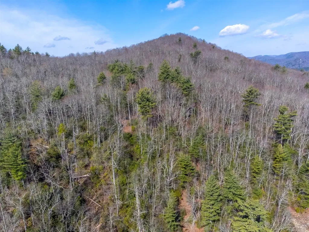 00 Little Cottage Way Sapphire NC 28774