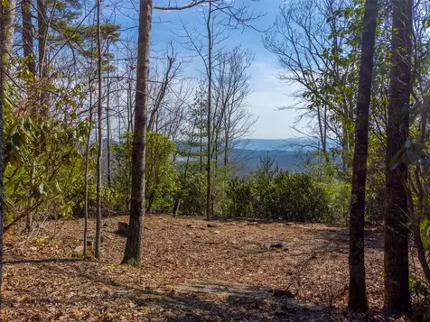 00 Little Cottage Way Sapphire NC 28774