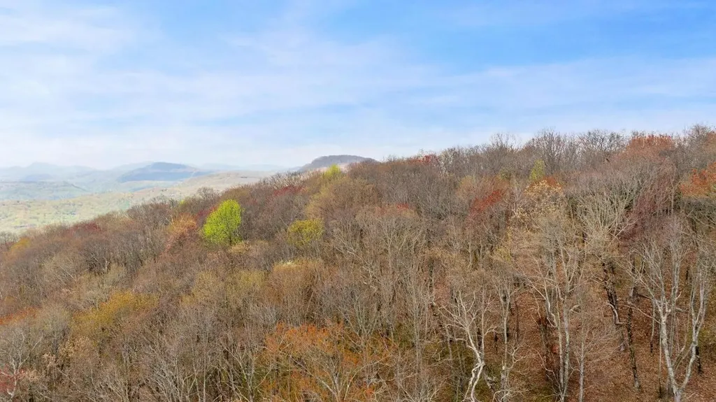 Lot 25 Falcon Ridge Road Sapphire NC 28774