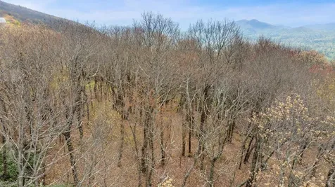Lot 25 Falcon Ridge Road Sapphire NC 28774
